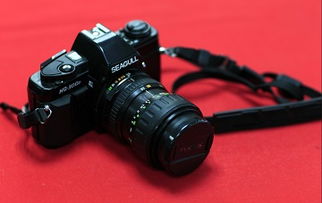 单反与工业相机品牌全览 从艺术创作到精密制造的视觉工具