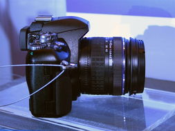 奥林巴斯E410双头套机 14-42mm与40-150mm镜头的经典演绎